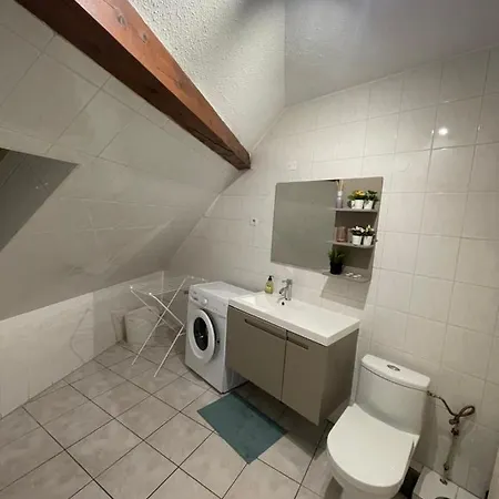 Colmar charmant logement Extérieur photo