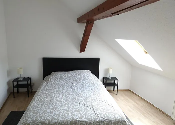 Colmar Charmant Logement